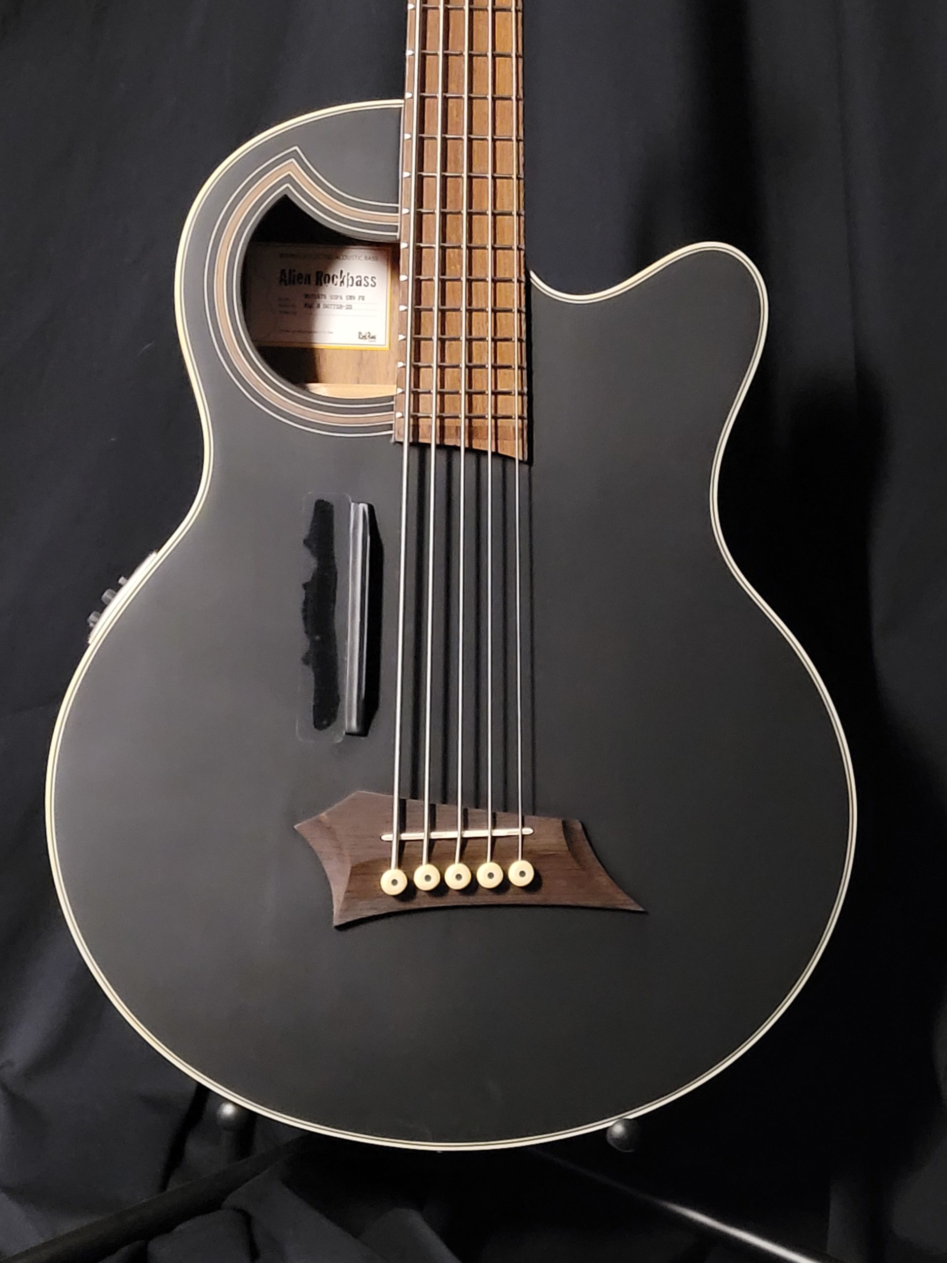 Warwick RockBass Alien Deluxe Hybrid Thinline Acoustic, 5-String, Sold |  Bass North