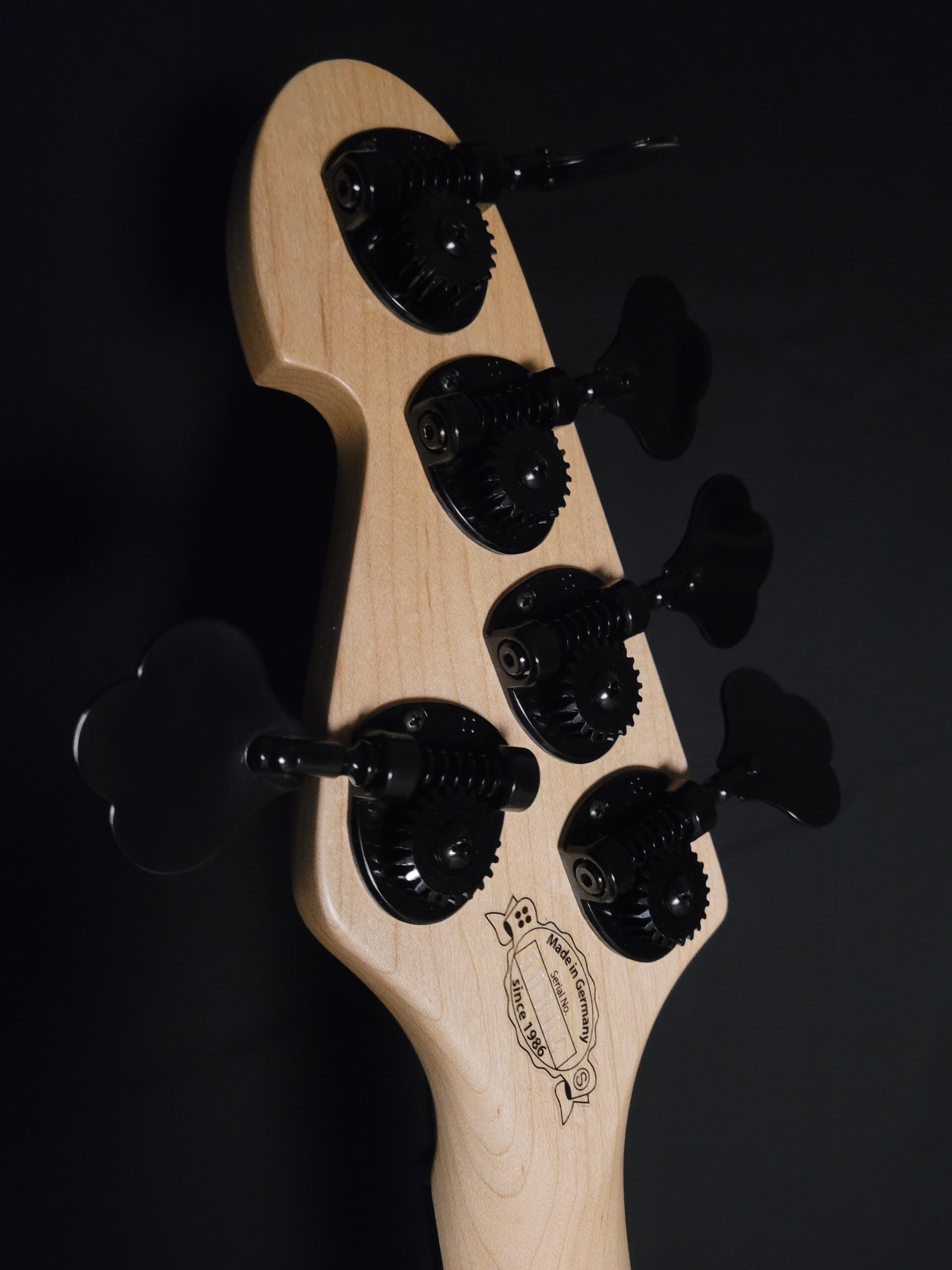 Sandberg California VM2, 5-String Natural Matte<br><br>In Stock - Image 7