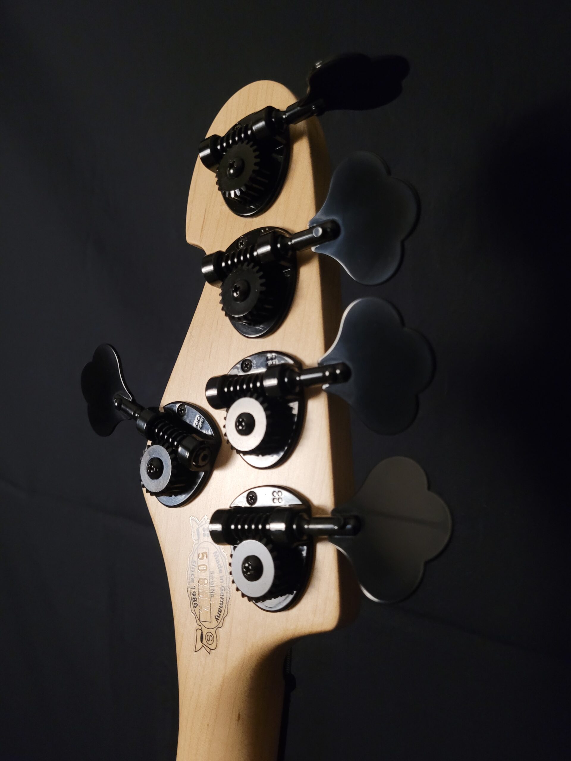 Sandberg California VM2, 5-String Natural Matte<br><br>In Stock - Image 8