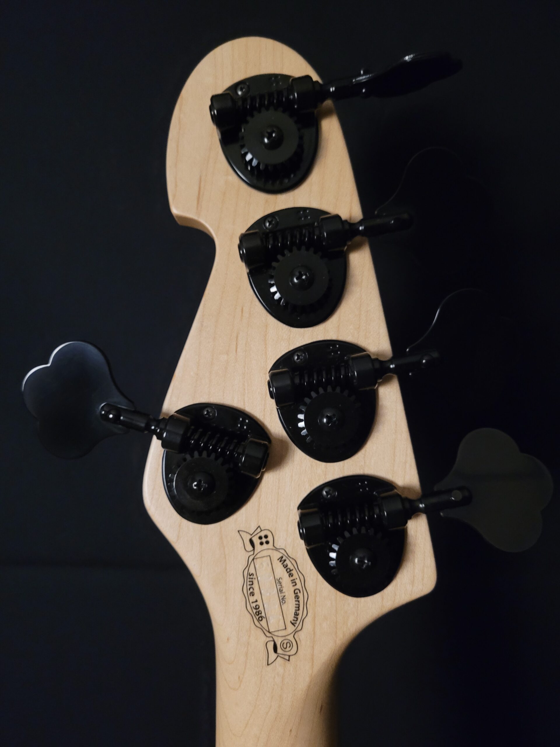 Sandberg California VM2, 5-String Natural Matte<br><br>In Stock - Image 9